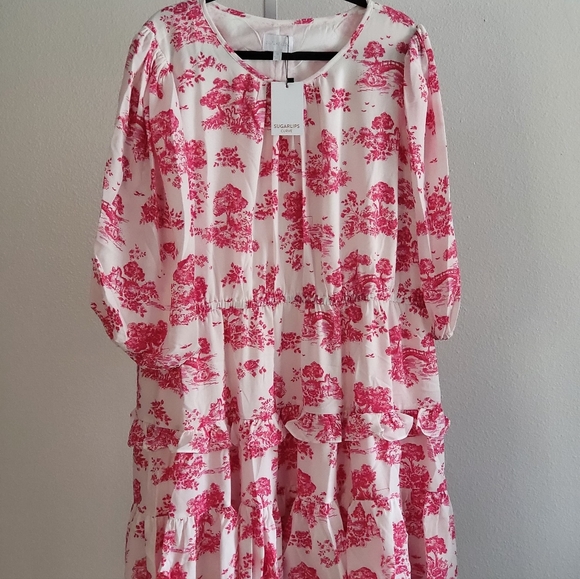 Ainsley Meadow Toile Heartfelt Ruffle Dress - Picture 1 of 2